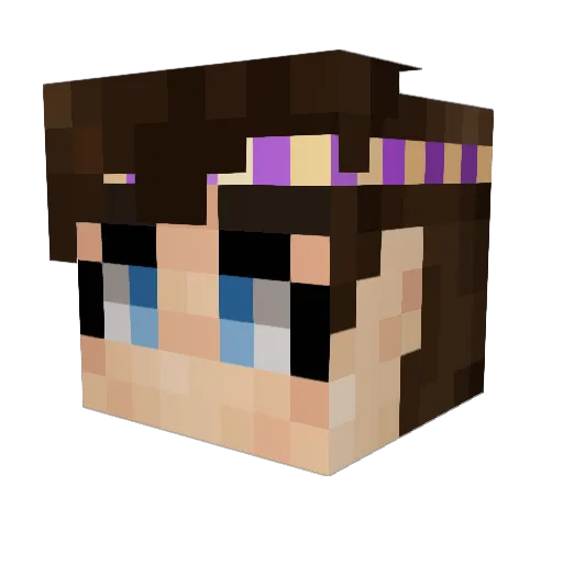 woolocean Minecraft avatar head, 3D render