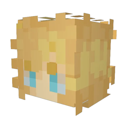 wooloo69 Minecraft avatar head, 3D render
