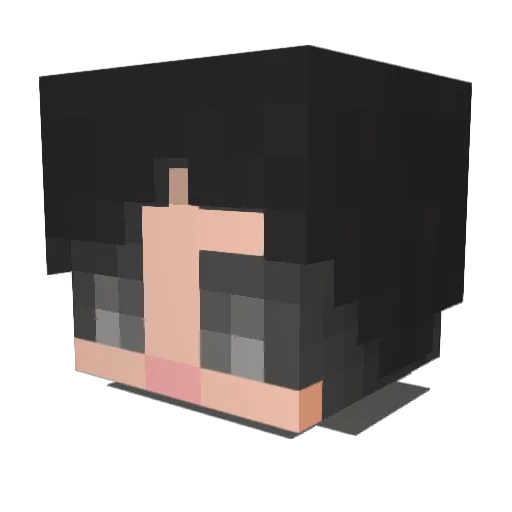 woomin4000 Minecraft avatar head, 3D render