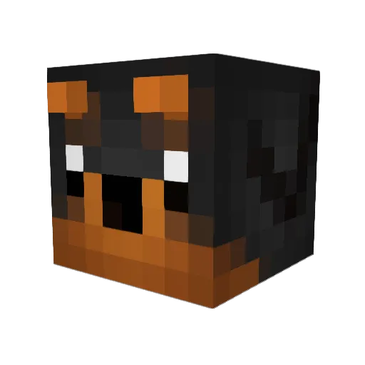 woomoo_ri Minecraft avatar head, 3D render