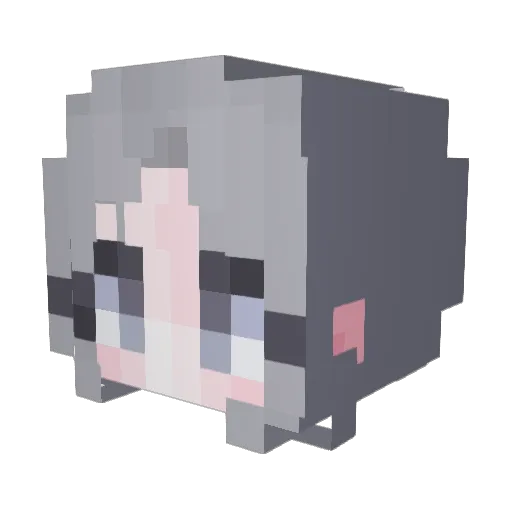 woon5912 Minecraft avatar head, 3D render