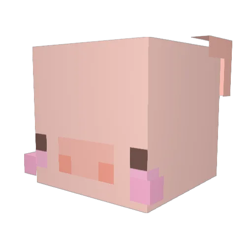 woon98 Minecraft avatar head, 3D render
