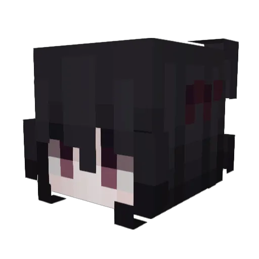 woonggi Minecraft avatar head, 3D render