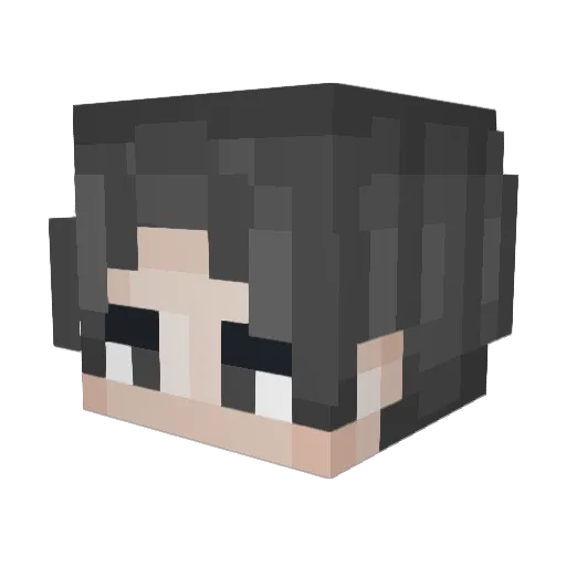 woongpilled Minecraft avatar head, 3D render