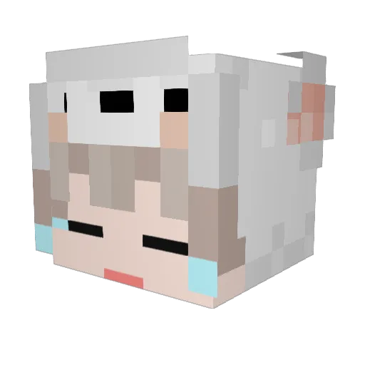 wooni_02 Minecraft avatar head, 3D render