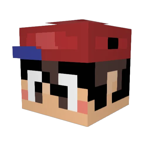 woonk_ Minecraft avatar head, 3D render