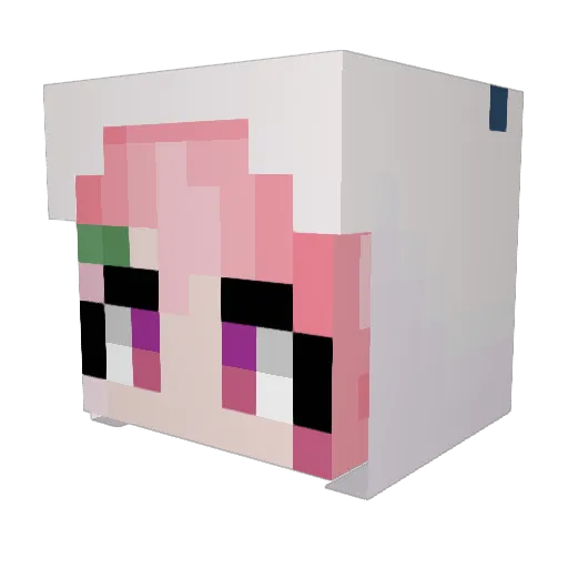 wooomba Minecraft avatar head, 3D render