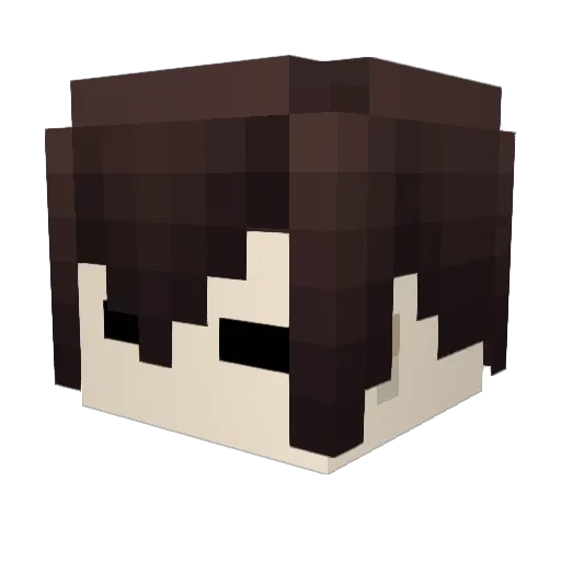 wooooooooo5 Minecraft avatar head, 3D render