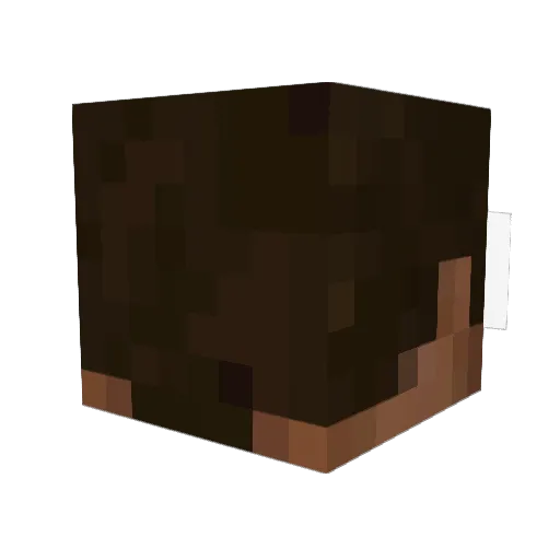 wooozzyy Minecraft avatar head, 3D render