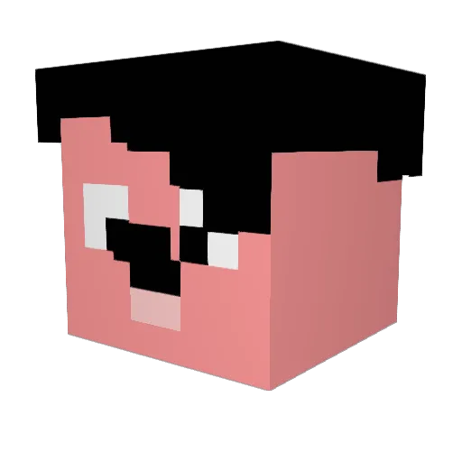 wootcake Minecraft avatar head, 3D render