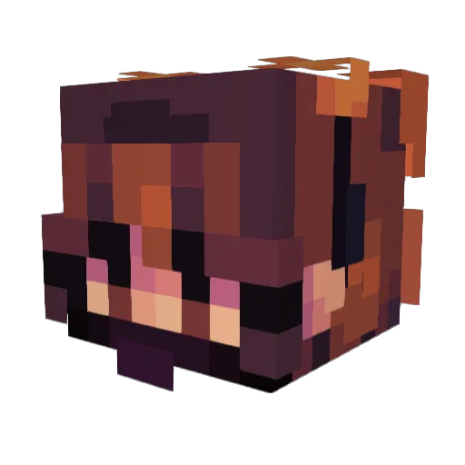 wootjoot Minecraft avatar head, 3D render
