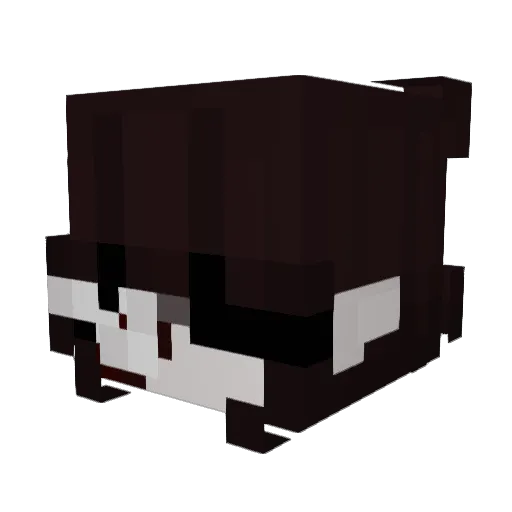wooxby Minecraft avatar head, 3D render