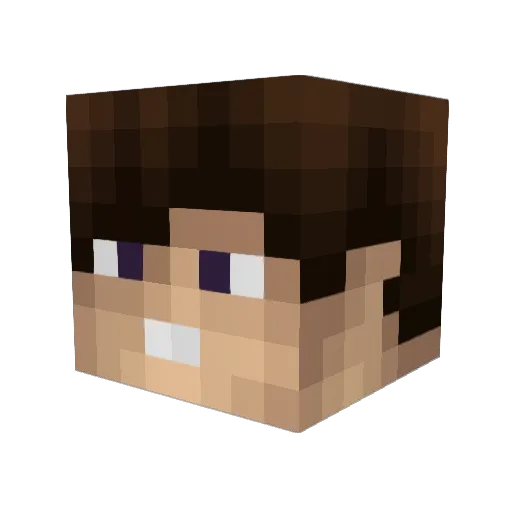 woozer88 Minecraft avatar head, 3D render