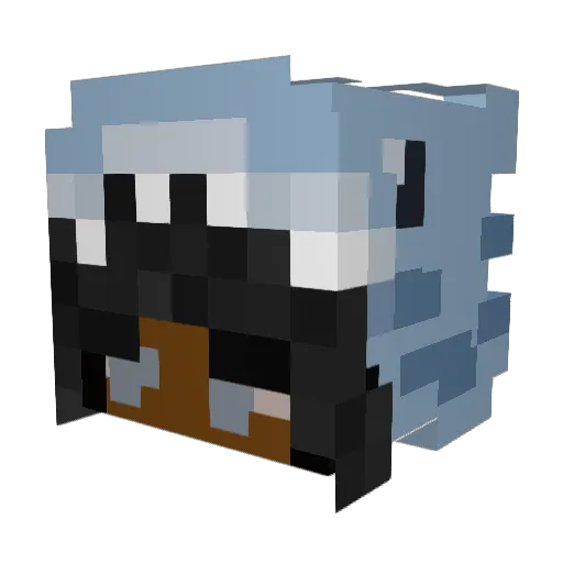 woozy1400 Minecraft avatar head, 3D render