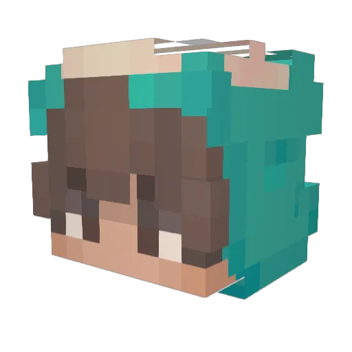 wop1005 Minecraft avatar head, 3D render