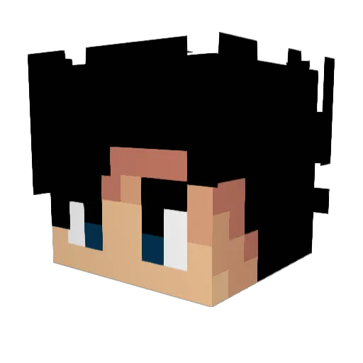wopoty Minecraft avatar head, 3D render