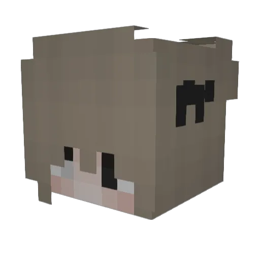 worauf Minecraft avatar head, 3D render