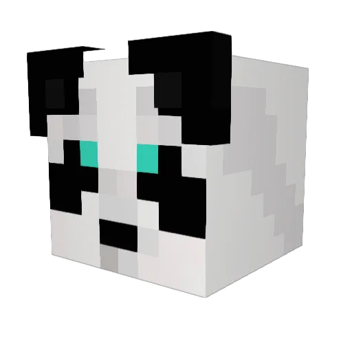 worba Minecraft avatar head, 3D render