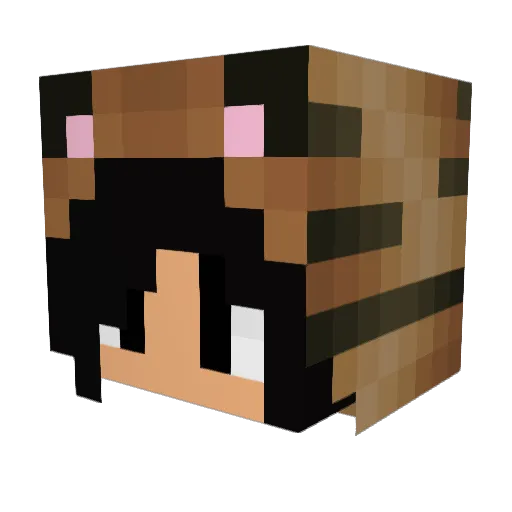 wordisbond45 Minecraft avatar head, 3D render