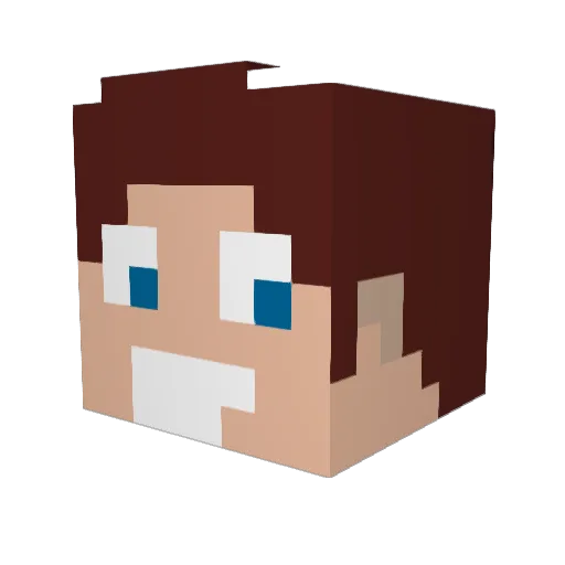 workfare Minecraft avatar head, 3D render