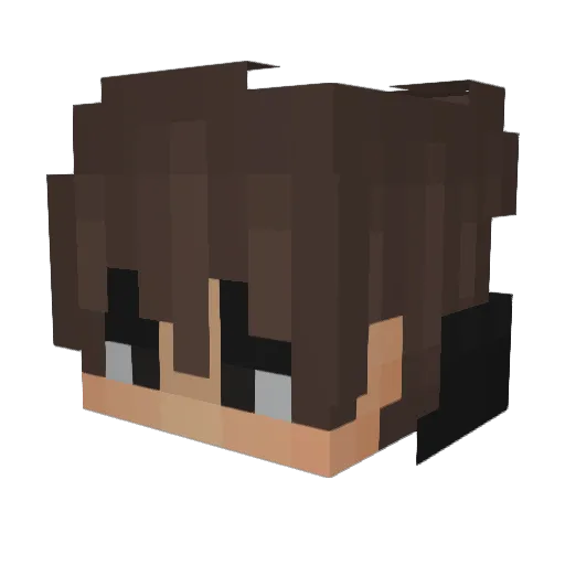 workmaster141 Minecraft avatar head, 3D render