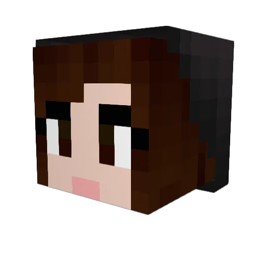 workway Minecraft avatar head, 3D render