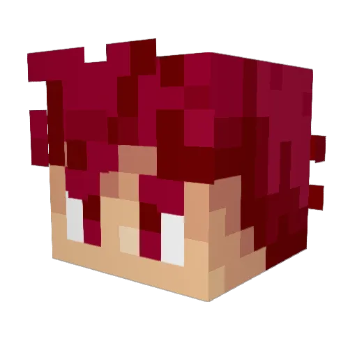 worlddestroy9 Minecraft avatar head, 3D render