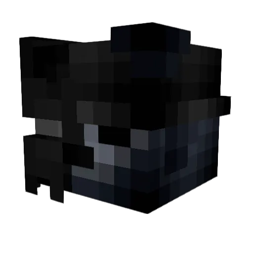 worldfulloflies Minecraft avatar head, 3D render