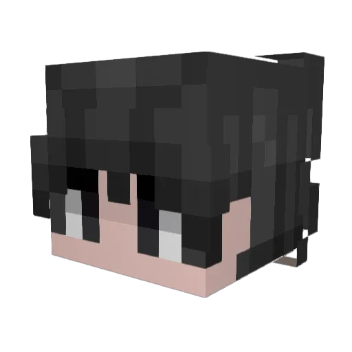 worldlines Minecraft avatar head, 3D render