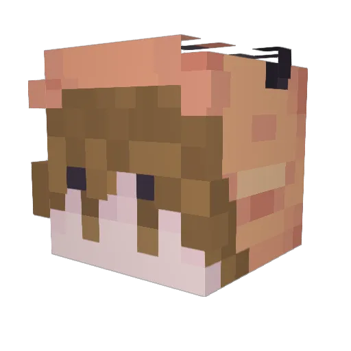 worldpeace Minecraft avatar head, 3D render