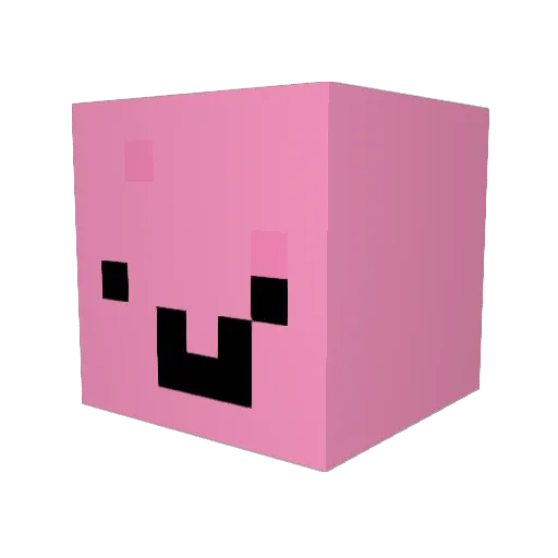 worldsbestnob Minecraft avatar head, 3D render