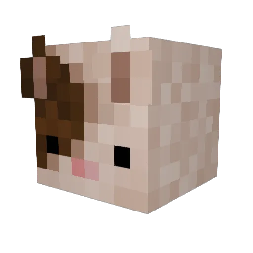 wormandcosy Minecraft avatar head, 3D render
