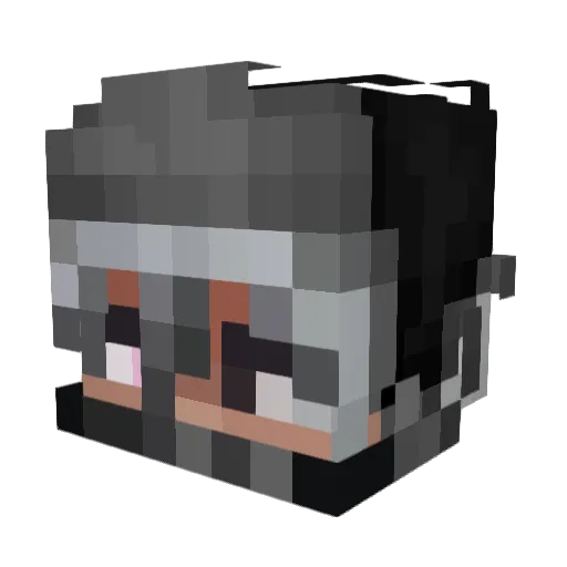 wormdisco Minecraft avatar head, 3D render