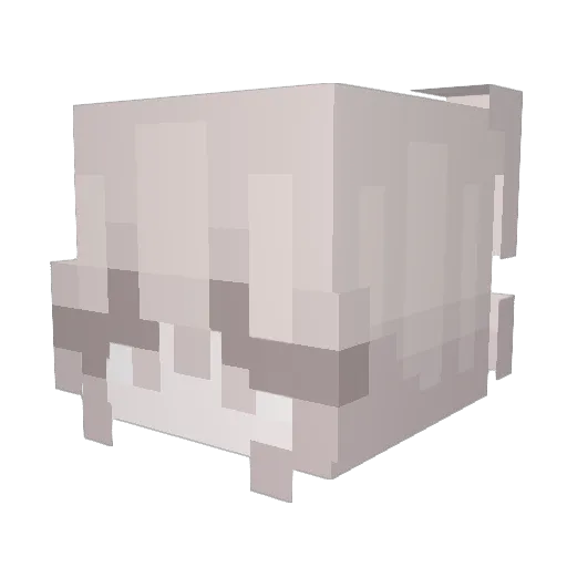 wormest Minecraft avatar head, 3D render