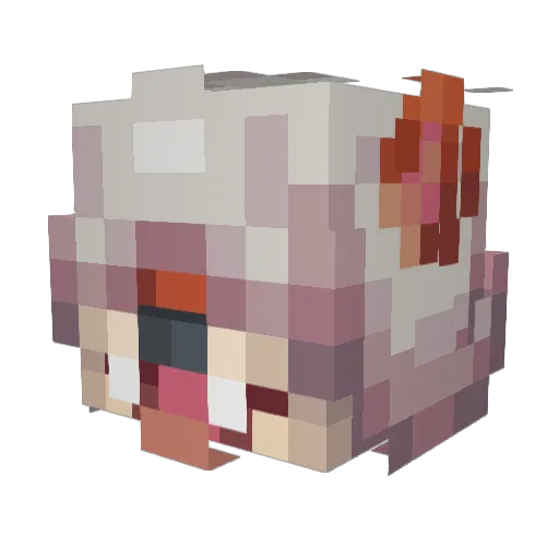 wormkinnie Minecraft avatar head, 3D render