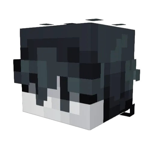 wormsforlife Minecraft avatar head, 3D render