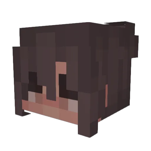 wormy64 Minecraft avatar head, 3D render