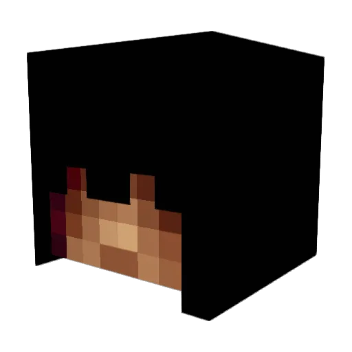 worriz2003 Minecraft avatar head, 3D render
