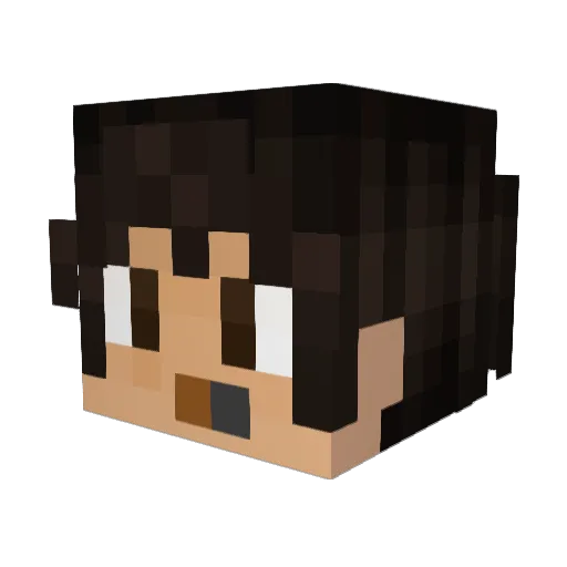 wors1tt Minecraft avatar head, 3D render