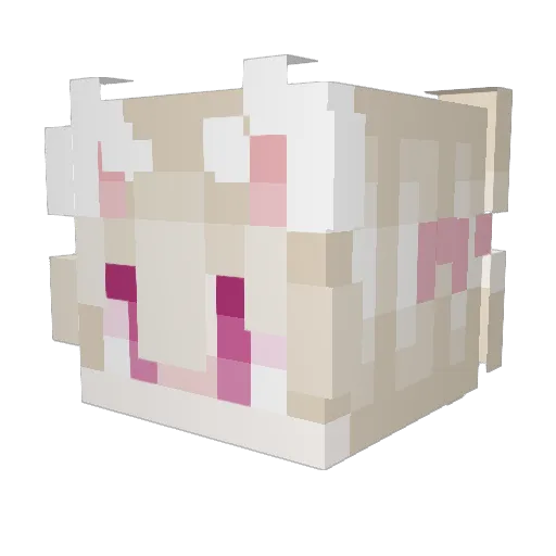 worsterrr Minecraft avatar head, 3D render