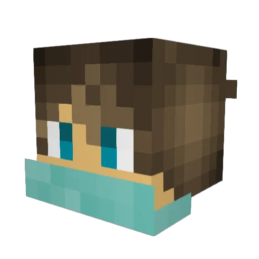 wortex3 Minecraft avatar head, 3D render