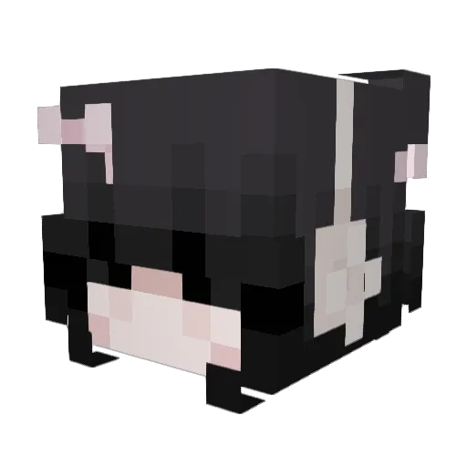 woshibaba123 Minecraft avatar head, 3D render