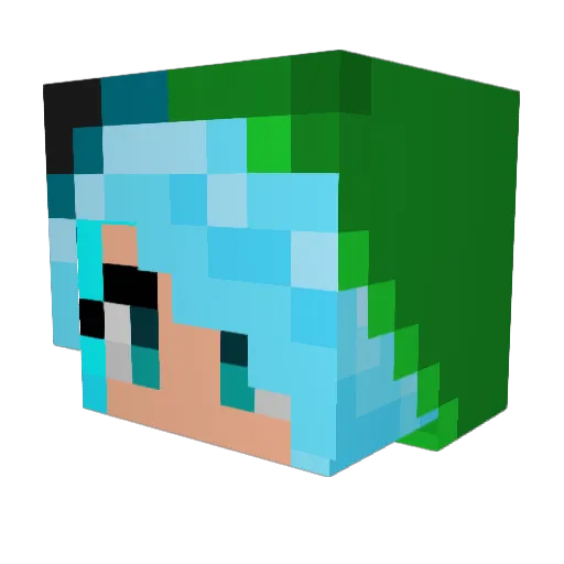 wotafuji Minecraft avatar head, 3D render