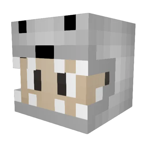 wotel Minecraft avatar head, 3D render