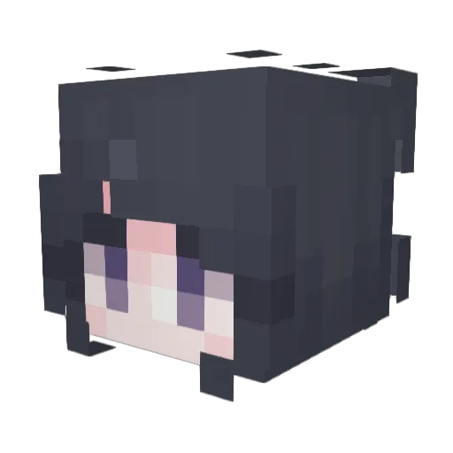 wotereq Minecraft avatar head, 3D render