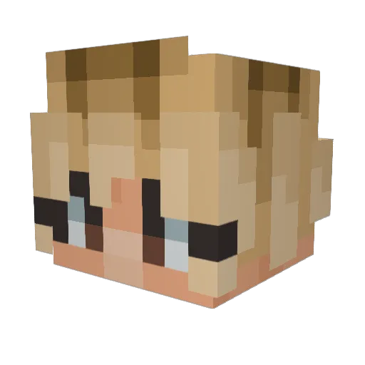 wotofock Minecraft avatar head, 3D render