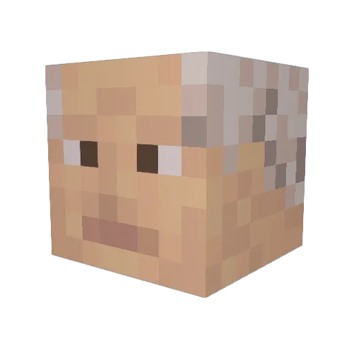 wouhr Minecraft avatar head, 3D render