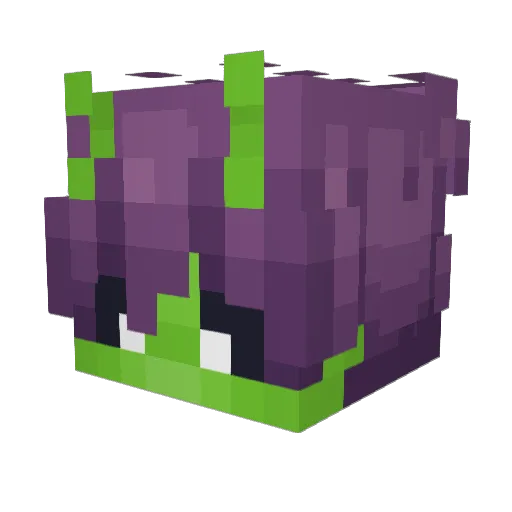 wouncey Minecraft avatar head, 3D render
