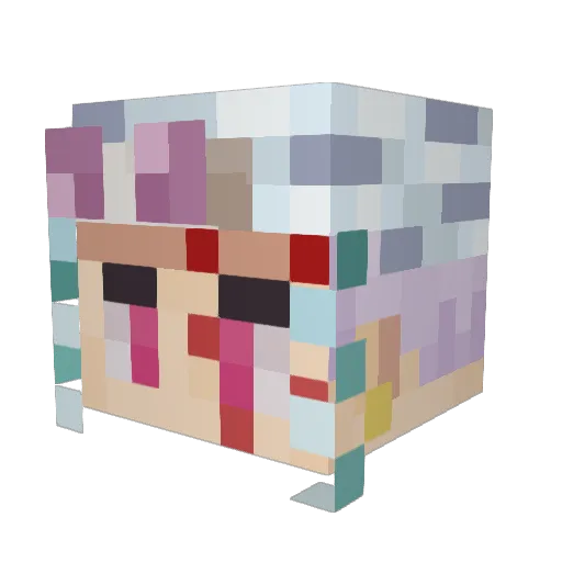 woundnwolf Minecraft avatar head, 3D render