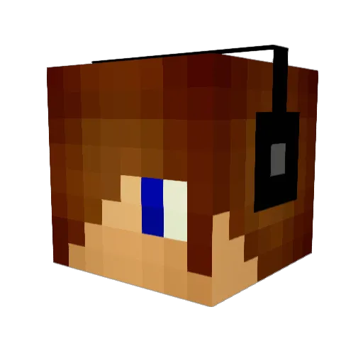 wouter8998 Minecraft avatar head, 3D render
